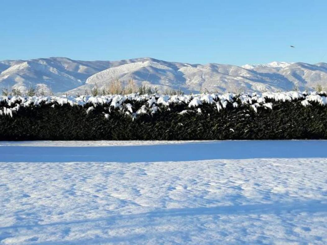 Galini Estate Lägenhet Kardítsa Exteriör bild